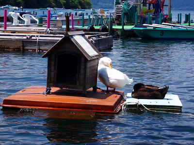 DSCF0399.jpg