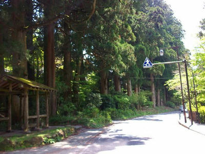 DSCF0393.jpg