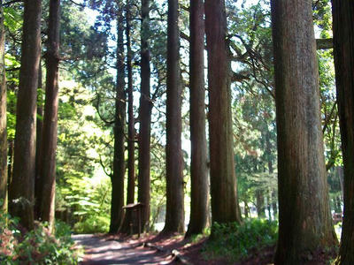 DSCF0413.jpg