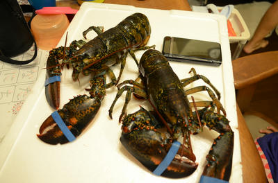 20120720211036.JPG