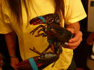 20120720211220.jpg
