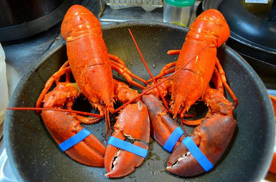20120720213502.jpg