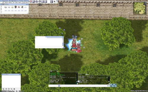 screenses129.JPG
