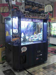 PAP_0013.jpg