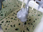 SA3B0038.jpg
