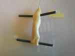SA3B0062.JPG