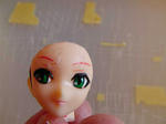 SANY0030.jpg