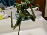 3b7047df.jpg