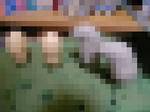 SANY0017-m.jpg
