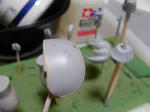 SANY0067.jpg
