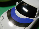 SANY0174.jpg