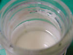 820a3861.jpg