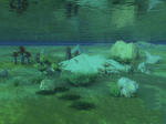sea6_b.JPG