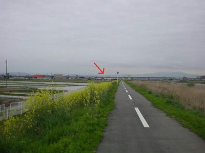 新舗装されたサイクリングロード
