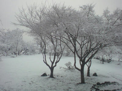 うっすら雪景色