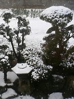もう、大はしゃぎ。