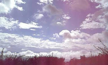 070823_090242.jpg