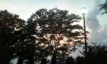 DVC00019.JPG