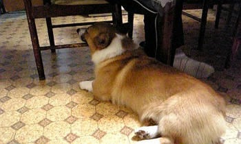 DVC00015.JPG