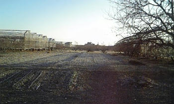 DVC00158.JPG