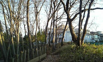 DVC00125.JPG