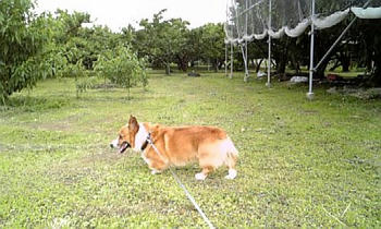 DVC00091.JPG
