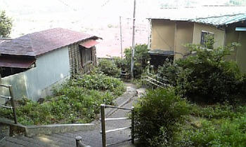 DVC00065.JPG