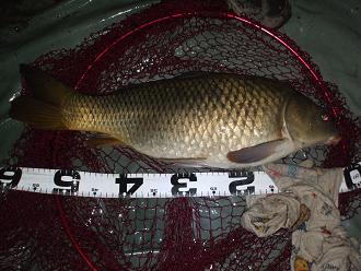 1201014.JPG