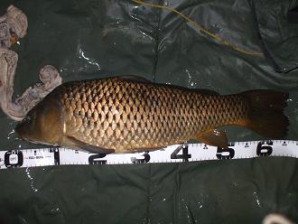 1201021.JPG