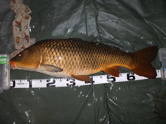 1201281.JPG