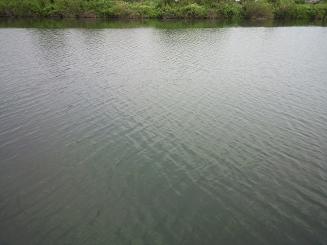 8c4a5658.jpeg