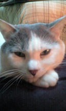 toro072_20110209.jpg
