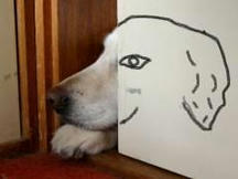 dog_001.jpg