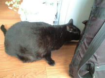 20111109_02.jpg