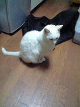 20111109_06.jpg