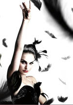 blackSwan_008.jpg