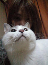 toro20111212.jpg