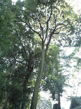 20120101_003.jpg