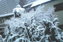 20120229_01.jpg
