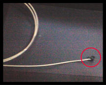 bass_strings01.jpg