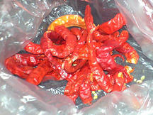 rayu_20130207_04.jpg