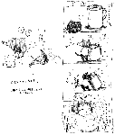 nukoman14.gif