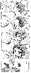 nukoman14_2.gif