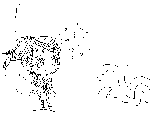 nekosewa2.gif