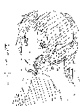 nekosewa16.gif