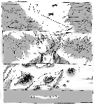 kitunrko5.gif