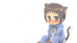 nekosewa62.png