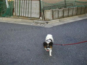 P1010010.jpg