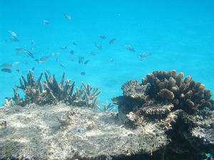 P1010025.jpg