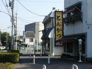 P1010033.jpg